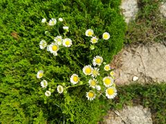 -鉴湖国家城市湿地公园