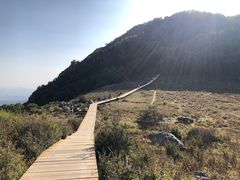 -白草畔自然风景区