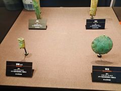 -盘龙城国家考古遗址公园