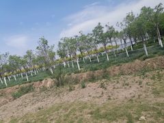 -天津东丽湖风景区