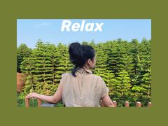 -迪茵湖田家舍生态农场