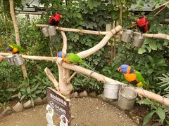 -南宫五洲植物乐园