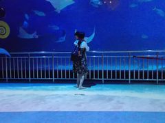 -烟台海昌鲸鲨海洋公园