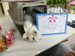 -心语宠物医院·急重症转诊中心·瑞辰华诺(南青路店)