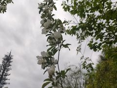 -仙海旅游度假区