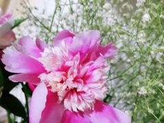 -公园前(地铁站)