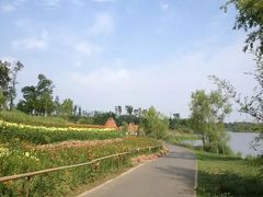 -白鹭湾湿地公园