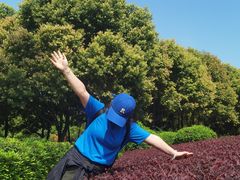 -铁山坪森林公园