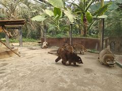 -呀路古热带植物园