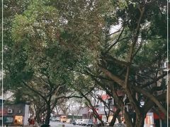 -小豆海棠(人民南路店)