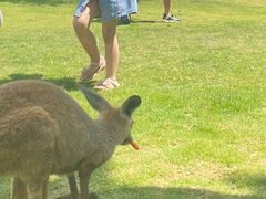 -泉州海丝野生动物世界