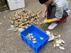 -濠轩阁特色生蚝火锅总店