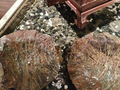 -江南·JIANGNAN(北京歌华开元大酒店)