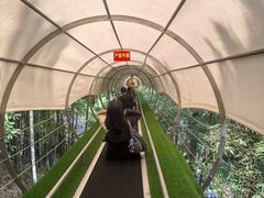 -藏龙百瀑风景区