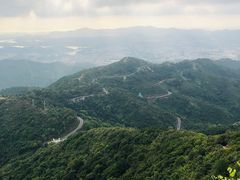 -阳台山森林公园