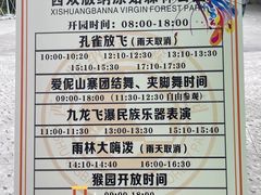 -西双版纳原始森林公园