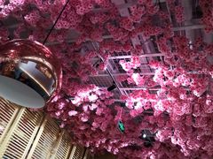 -椰贝原味椰子鸡(高新万达店)