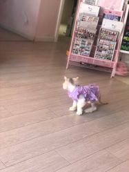 -Beauty Nails 美甲美睫皮肤管理