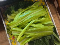 -芦月轩羊蝎子(北蜂窝店)