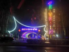 -枫花园汽车电影院(朝阳公园店)