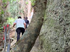 -七仙岭温泉国家森林公园