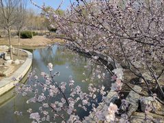 -南开大学(津南校区)