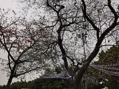 -鹅公村·国家非遗传承(荔湾店)