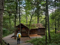 -五营红松林海景区