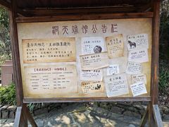 -常德桃花源景区