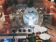 -健身专家Wellness Experts