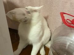 -七欣天香辣蟹火锅(南京建宁路大观天地店)