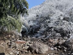 -东天目山风景区