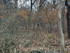 -南山风景名胜区
