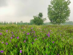 -汉长安城未央宫国家考古遗址公园