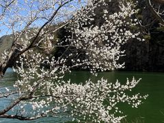 -何适山庄 ·可团建(水长城P2停车场店)