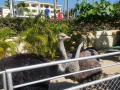 -三亚亚龙湾天域度假酒店