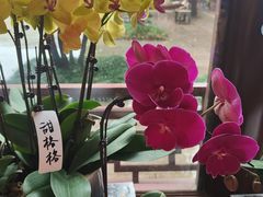 -钱王祠