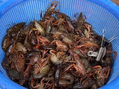 -羊家胡同·龙虾烧烤火锅(龙汇路店)