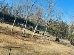 -秦皇岛野生动物园