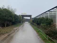 -汤山翠谷生态餐厅