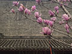 -长春观