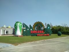 -上海都市菜园