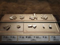 -烟台市博物馆