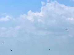 -阳澄湖半岛旅游度假区