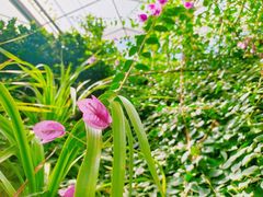 -晶宝温泉农庄