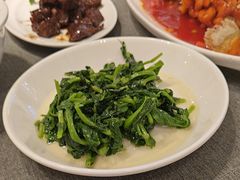 -新吉士·上海菜(浦东LCM置汇旭辉店)