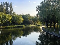 -大兴滨河森林公园