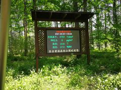 -黄海国家森林公园