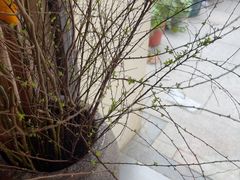 -川匠·睡眠采耳·SPA(九眼桥店)