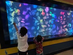 -烟台海昌鲸鲨海洋公园